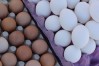 flow_software_independent_egg_producers_cs