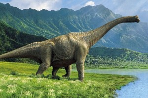Banks extinct Aus