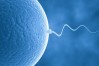 IVF and medical equipment