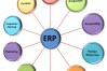 ERP experience