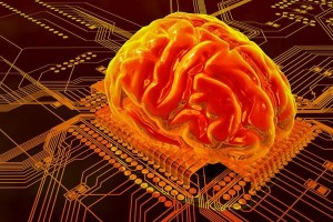 rankbrain