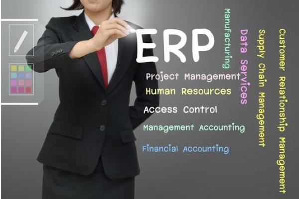 ERP for IT
