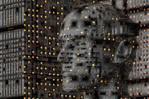 data scientist