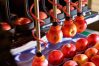 Automated apple packing_Robotics Plus