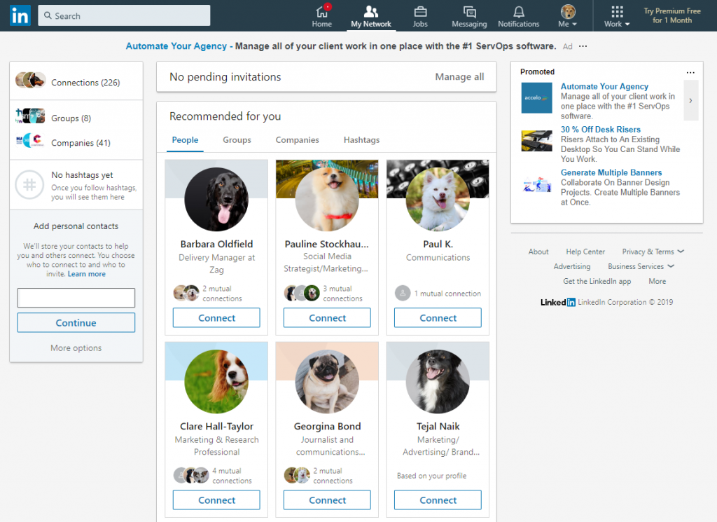 LinkedIn_Profile of dogs