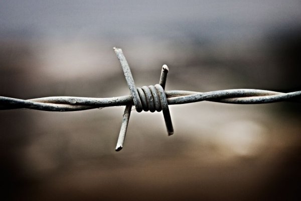 NZ Tech and Productivity report_barbed wire