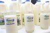 Fonterra milk products_Microsoft Azure cloud