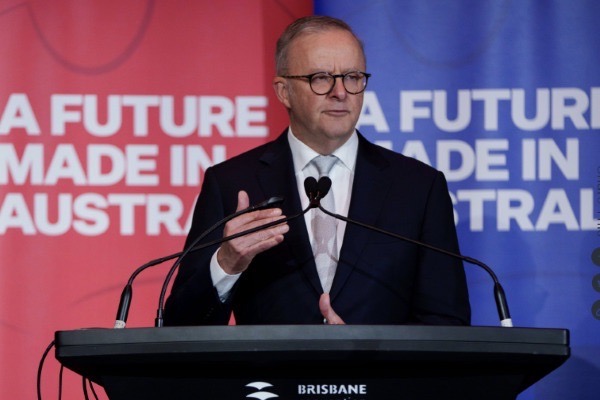 Albanese eyes industry intervention