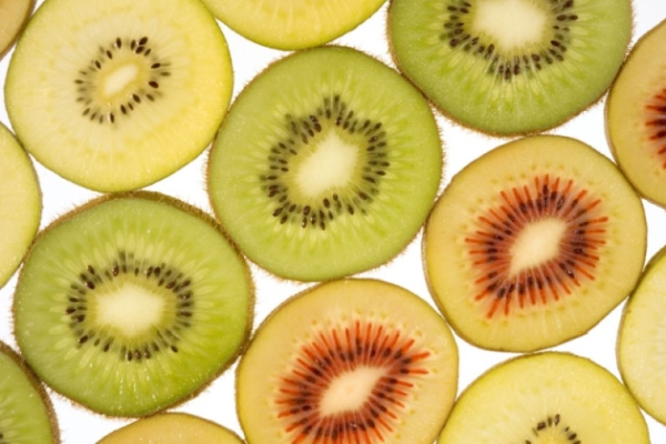 Zespri's million dollar process intelligence