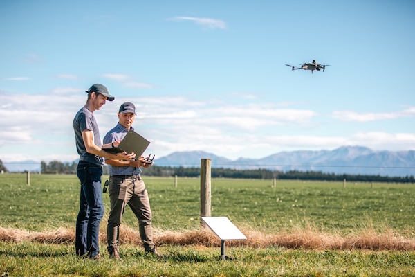 AI + drones save farmers from counting sheep