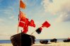 Red flags
