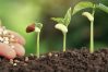Sowing the seeds of growth: NZ's agritech opportunity