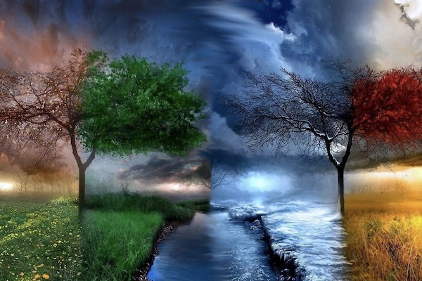 Skills in flux: APAC surges, skills compress and Adelaide steps up