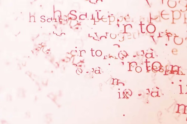 Unclear rules leave NZ businesses AI-shy