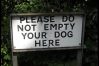 AI value lost in translation