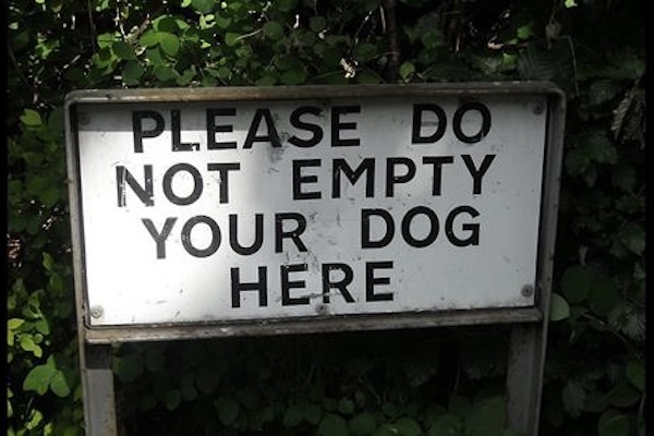 AI value lost in translation